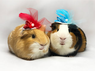 Small Animal Couture Hats