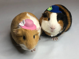 Small Animal Flower Hats